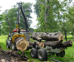 The smaller trailer is well suited to working with firewood and small timber in confined spaces that are often be found in smaller woods